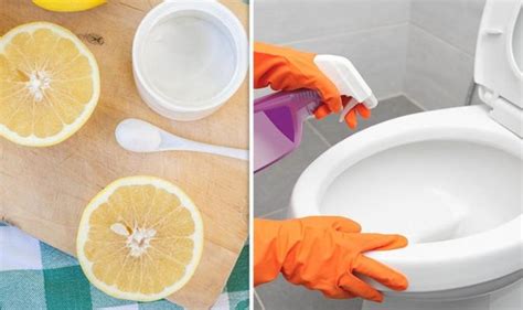 Citric acid toilet cleaner: The three-ingredient solution for a squeaky ...