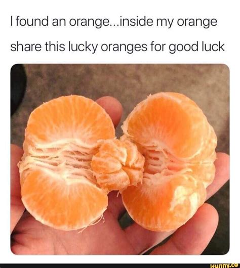 Ifound an orange...inside my orange share this lucky oranges for good luck - ) | Wholesome memes ...