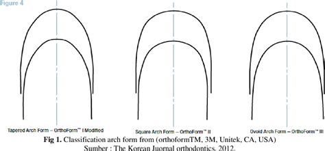 Comparision Of Dental Arch Form Based On Lineage | Semantic Scholar