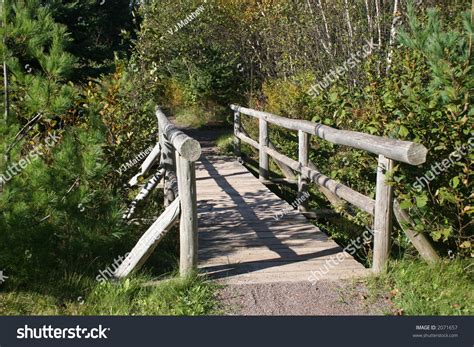 A Log Bridge Over A Stream In The Forest. Stock Photo 2071657 ...