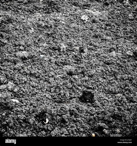 Black soil texture background perspective Stock Photo - Alamy