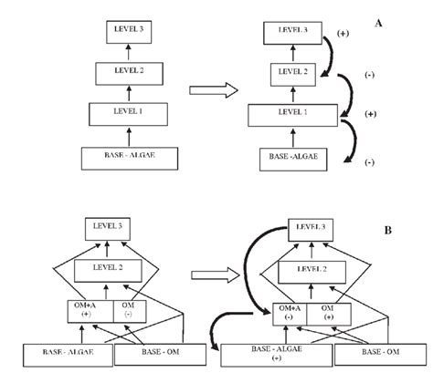 Food webs (left) and trophic cascade diagrams (right): A Example of a ...