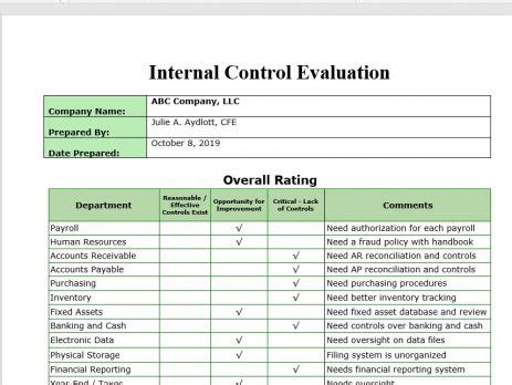 Internal Audit Report Template | Vitalics Internal Controls Simplified