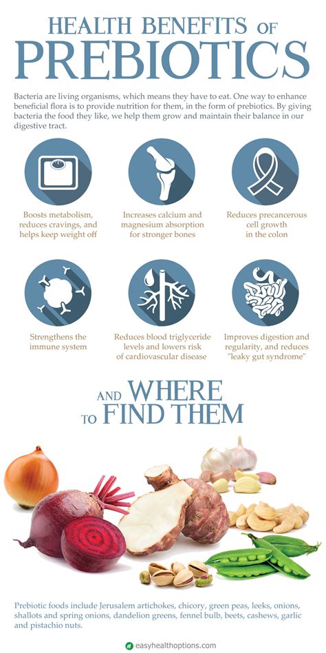 Health benefits of prebiotics and where to find them [infographic] - Easy Health Options