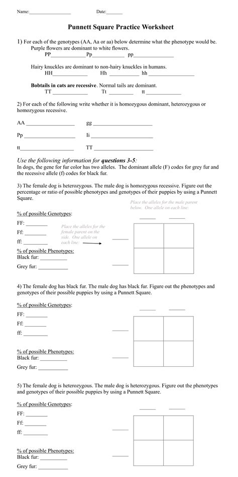 Printable Punnett Square Worksheets