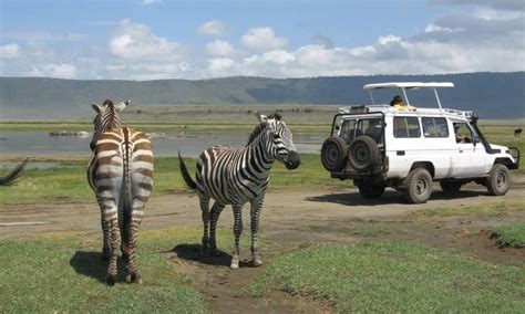 Ngorongoro Conservation Area | Tanzania Safari Destinations