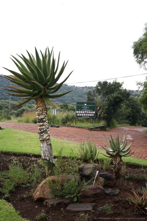 Bloemfontein Botanical Gardens, Free State Province, South Africa