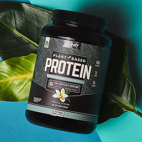 Plant-Based Protein Powder: Protein powder without dairy | Shane Heins