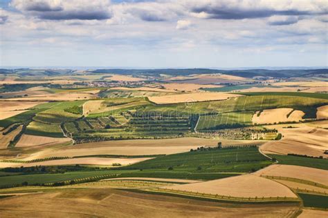 Aerial View of a Beautiful Landscape with Vineyards in South Moravian Region in Czech Republic ...