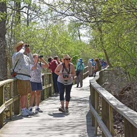 The Biggest Week birding spots