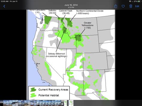 Grizzly bear population map : r/Maps