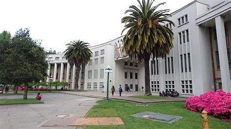 El campus universitario mas bonito de Chile - Opiniones sobre Universidad de Concepcion ...