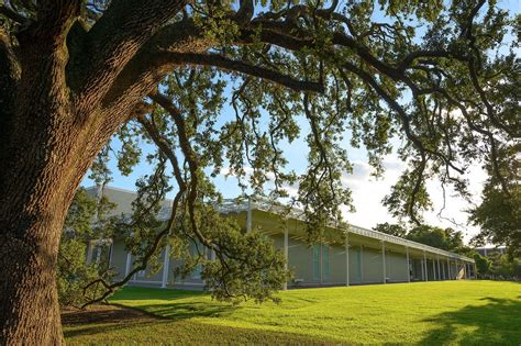 10 Best Museums in Houston - Where to Discover Houston’s History, Art ...