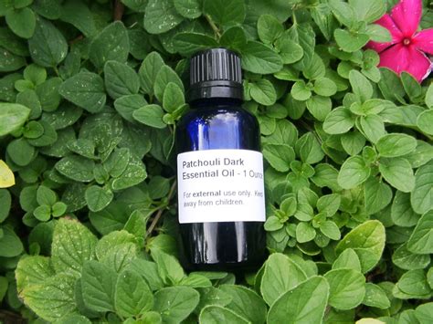 Patchouli Essential Oil - Uses and Benefits | Top Natural Remedies