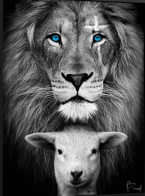 Lion Images, Lion Pictures, Animals Images, Jesus Wallpaper, Live ...