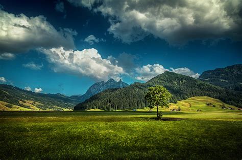 Desktop Wallpapers Switzerland Nature Mountains Sky forest Scenery