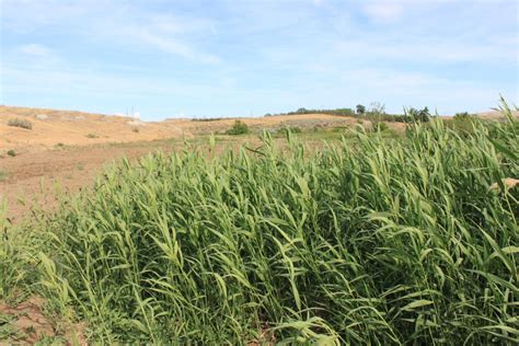 Washington State Noxious Weed Control Board