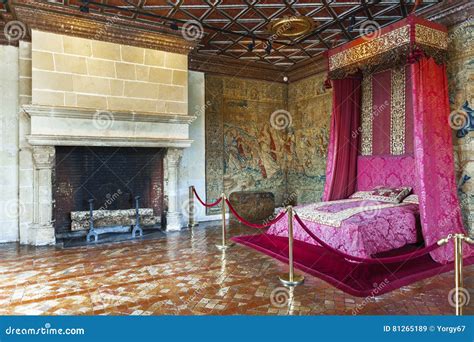 Chenonceau castle interior editorial stock image. Image of fireplace ...