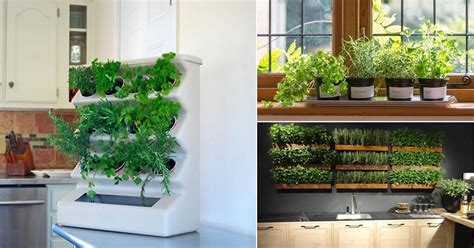 20 Indoor Kitchen Garden Ideas | Herb Garden in the Kitchen