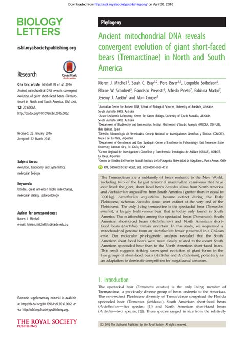 (PDF) Ancient mitochondrial DNA reveals convergent evolution of giant short-faced bears ...