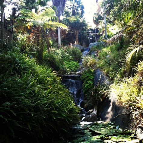 A Visit to the San Diego Botanic Garden – Daytripping Mom