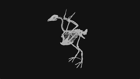 Turkey skeleton 3D model | CGTrader