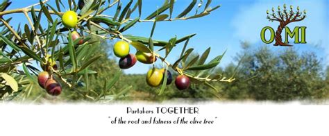 Contact – Olive Tree Ministries International