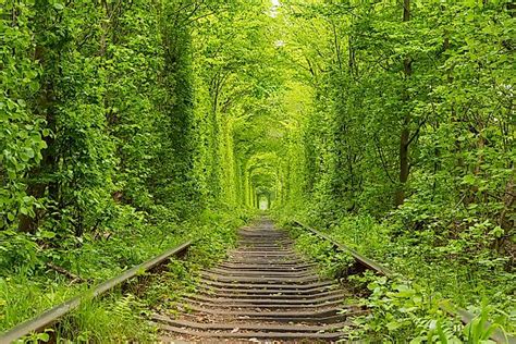 The Tunnel of Love, Ukraine - Unique Places Around the World - WorldAtlas.com