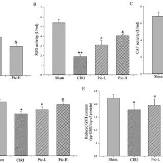 Pic reverses the increase of roS and decrease in antioxidant molecules.... | Download Scientific ...