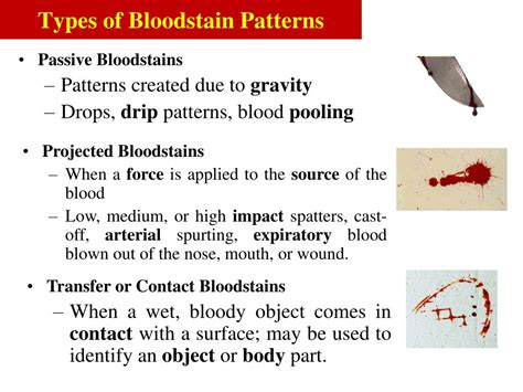 PPT - BLOOD SPATTER ANALYSIS or Blood Pattern Analysis = BPA PowerPoint ...