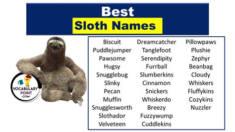 Best Sloth Names (Cute, Funny, Male & Female) - Vocabulary Point