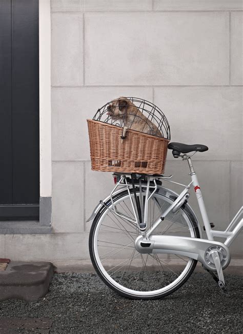 Pin by Heidi Heinrichs Mezenski on bike | Pet bike basket, Dog bike ...