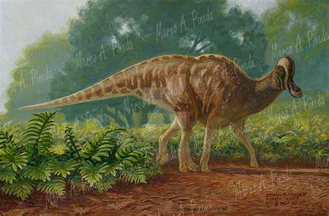 Corythosaurus by bioimagen on DeviantArt