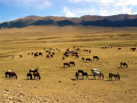 Mountain ranges and peaks of Kazakhstan