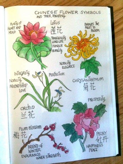 Chinese Top 10 Famous Flowers - Chinaflower214 | Chinese flowers, Chinese flower, Blossom meaning