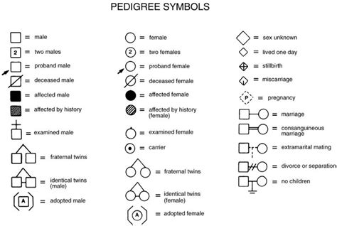 Pedigree Analysis Symbols