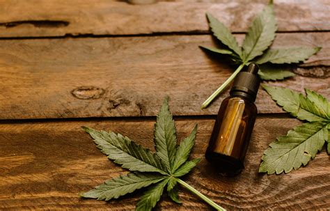 15 Benefits of Medical Cannabis Oil | Blog | Apollo