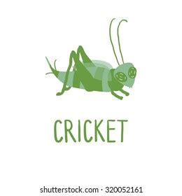 Cricket Insect Vector Stock Vector (Royalty Free) 320052161 | Shutterstock