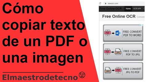 Cómo Copiar Texto De Un PDF Y Pasarlo A Word Guía Paso A Paso - El ...