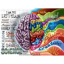 YA Authors You've Never Heard Of: LEFT BRAIN, RIGHT BRAIN