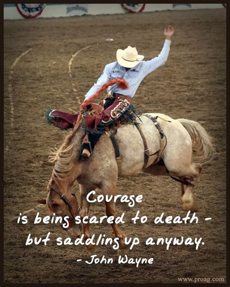 Rodeo Quotes. QuotesGram