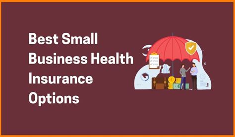 Best Health Insurance Options for Small Businesses r Startups