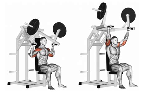 Shoulder Press Machine Guide: How To, Benefits, Muscles Worked