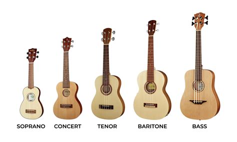 The Definitive Guide to Sizes and Shapes Of Ukuleles | Yousician