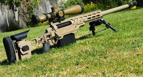 Canada's firm to deliver $770,000 in sniper rifles to Ukraine | UNIAN