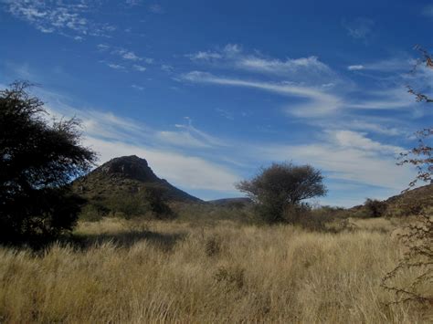 Veld In Northern Cape Province Free Stock Photo - Public Domain Pictures