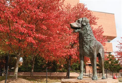 New Graduate Students - UMBC: University Of Maryland, Baltimore County