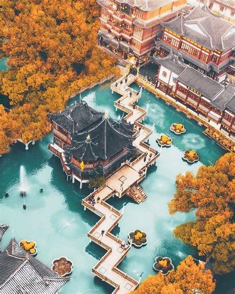 Autumn in Shanghai : r/shanghai