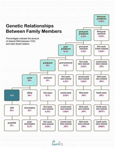 How Much DNA Do Family Members Share? (With Cousin Relationship Chart) - Famlii | Family tree ...