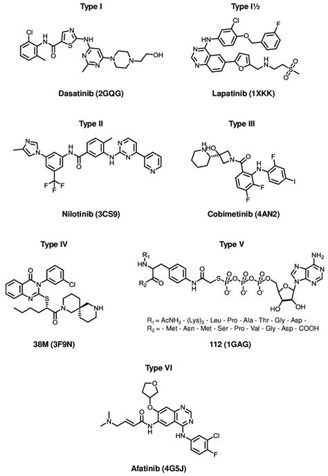 3: Types of kinase inhibitors. Kinase inhibitor examples of each... | Download Scientific Diagram